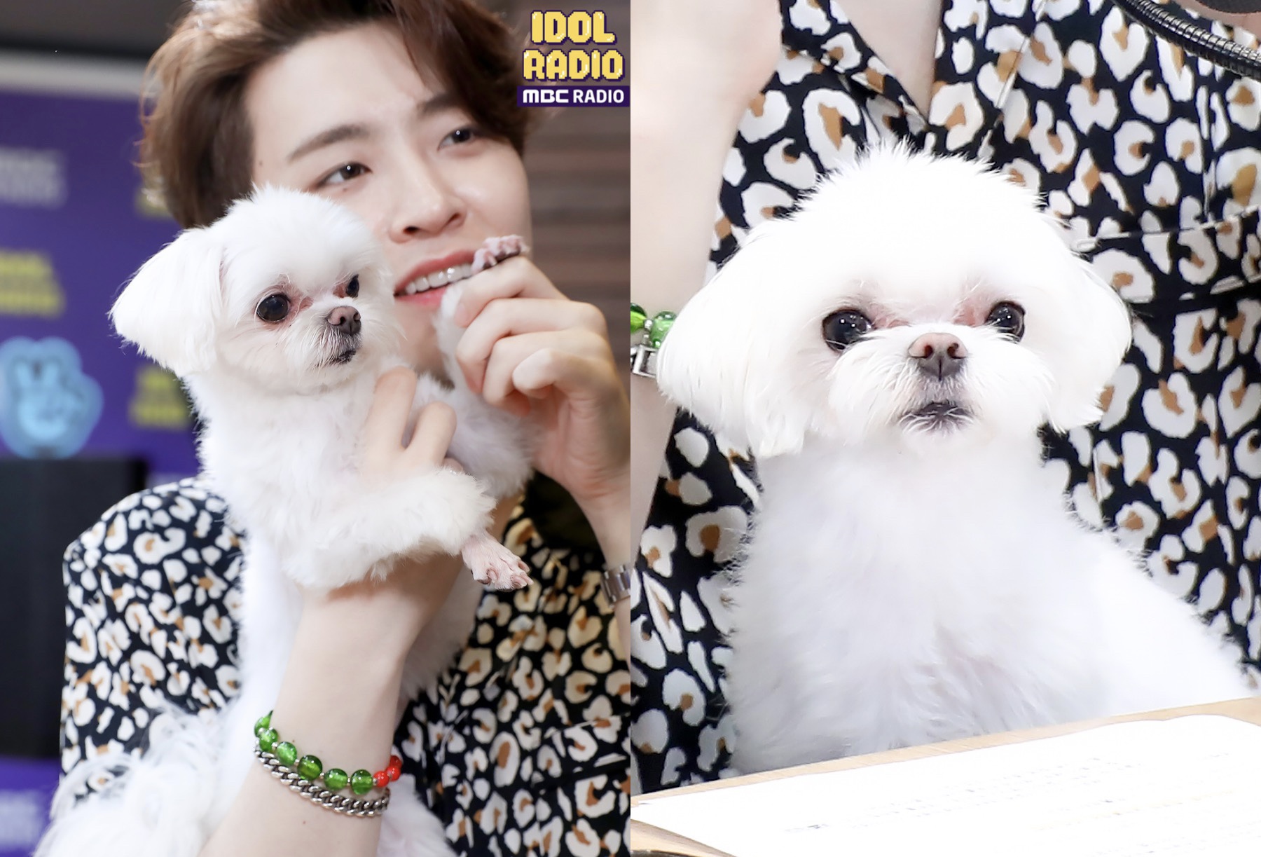 Coco debut in Idol Radio with GOT7’s Youngjae